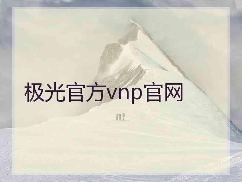 极光官方vnp官网