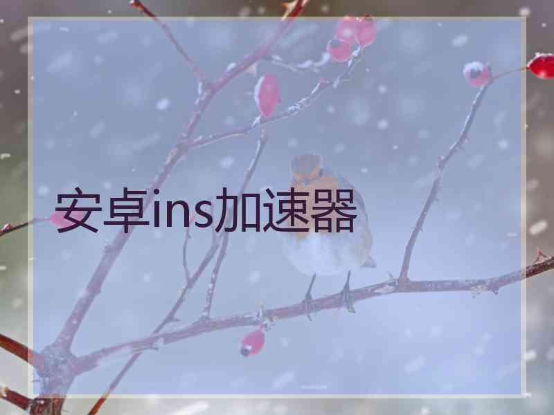安卓ins加速器